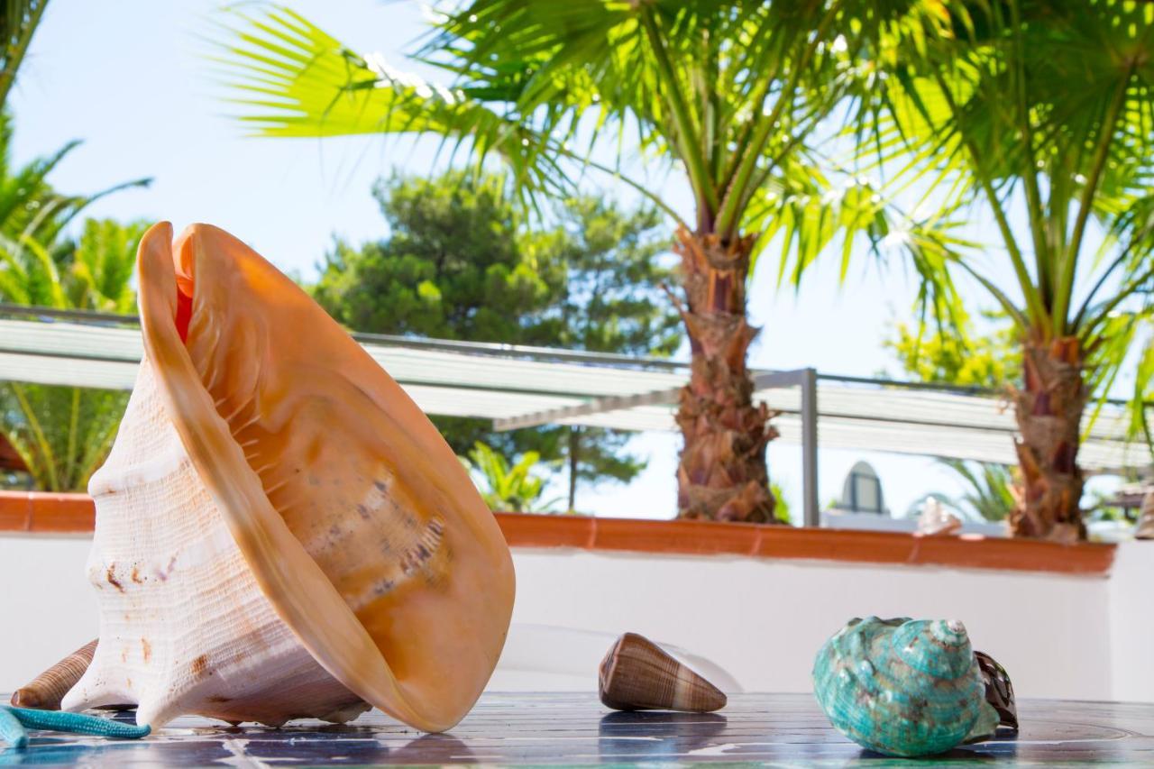 Residence La Conchiglia Vieste Luaran gambar